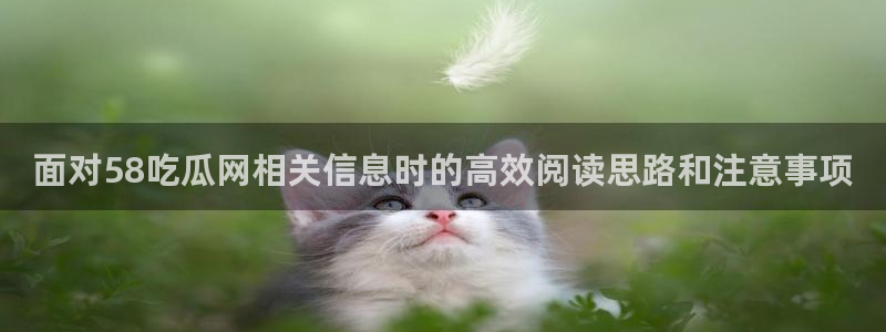 qq吃瓜群
