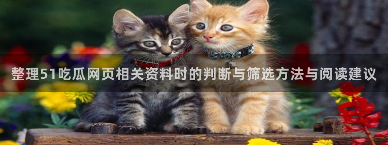911吃瓜爆料网:整理51吃瓜网页相关资料时的判断与筛选方法与阅读建议