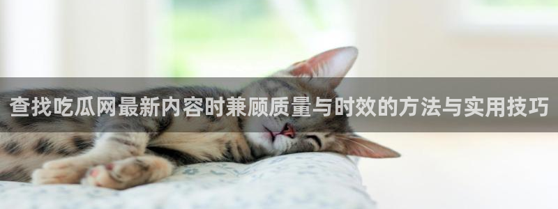 吃瓜网免费吃瓜