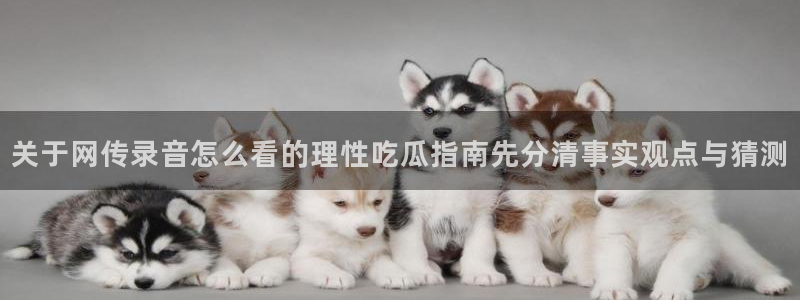九一吃瓜网