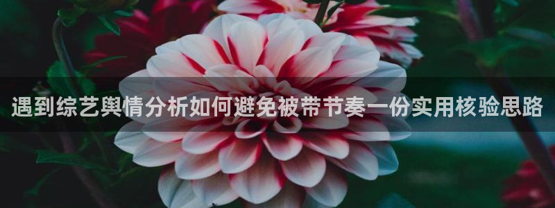 吃瓜爆料大事件