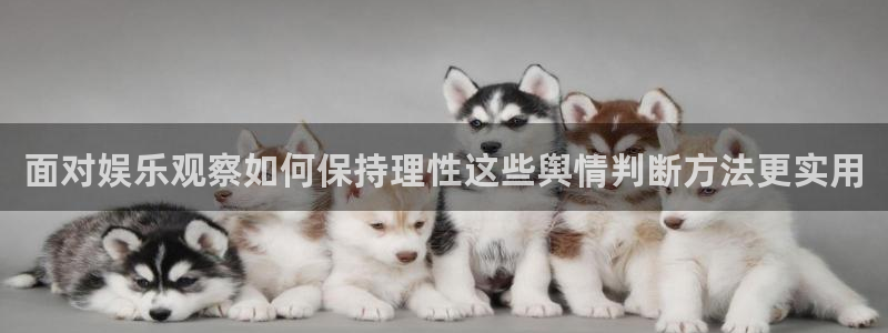 51吃瓜视频:面对娱乐观察如何保持理性这些舆情判断方法更实用