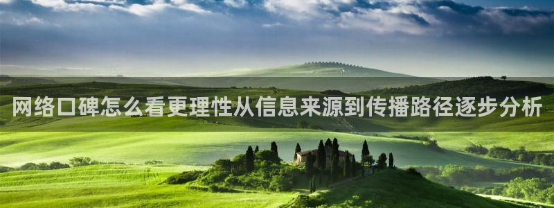 51黑料吃瓜:网络口碑怎么看更理性从信息来源到传播路径逐步分析