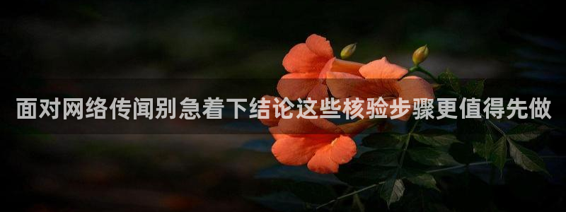 黑料吃瓜网在线观看:面对网络传闻别急着下结论这些核验步骤更值得先做