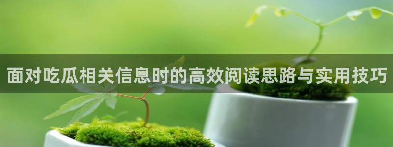 吃瓜网免费吃瓜
